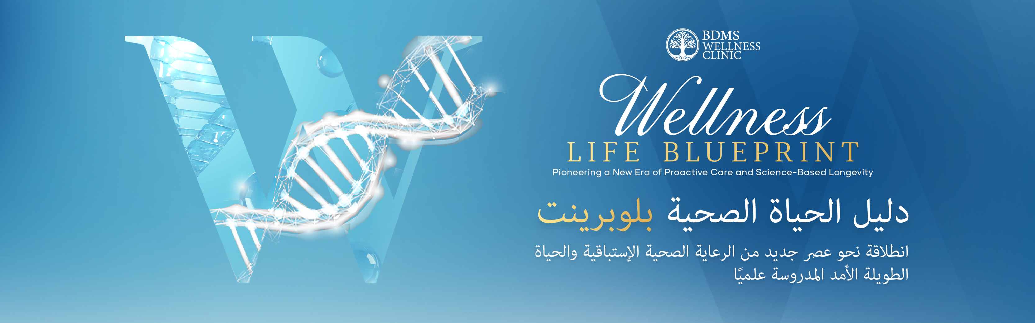 Wellness Life Blueprint